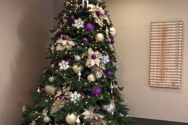 christmas tree in Joy of Life Officie - Joy of Life Surrogacy