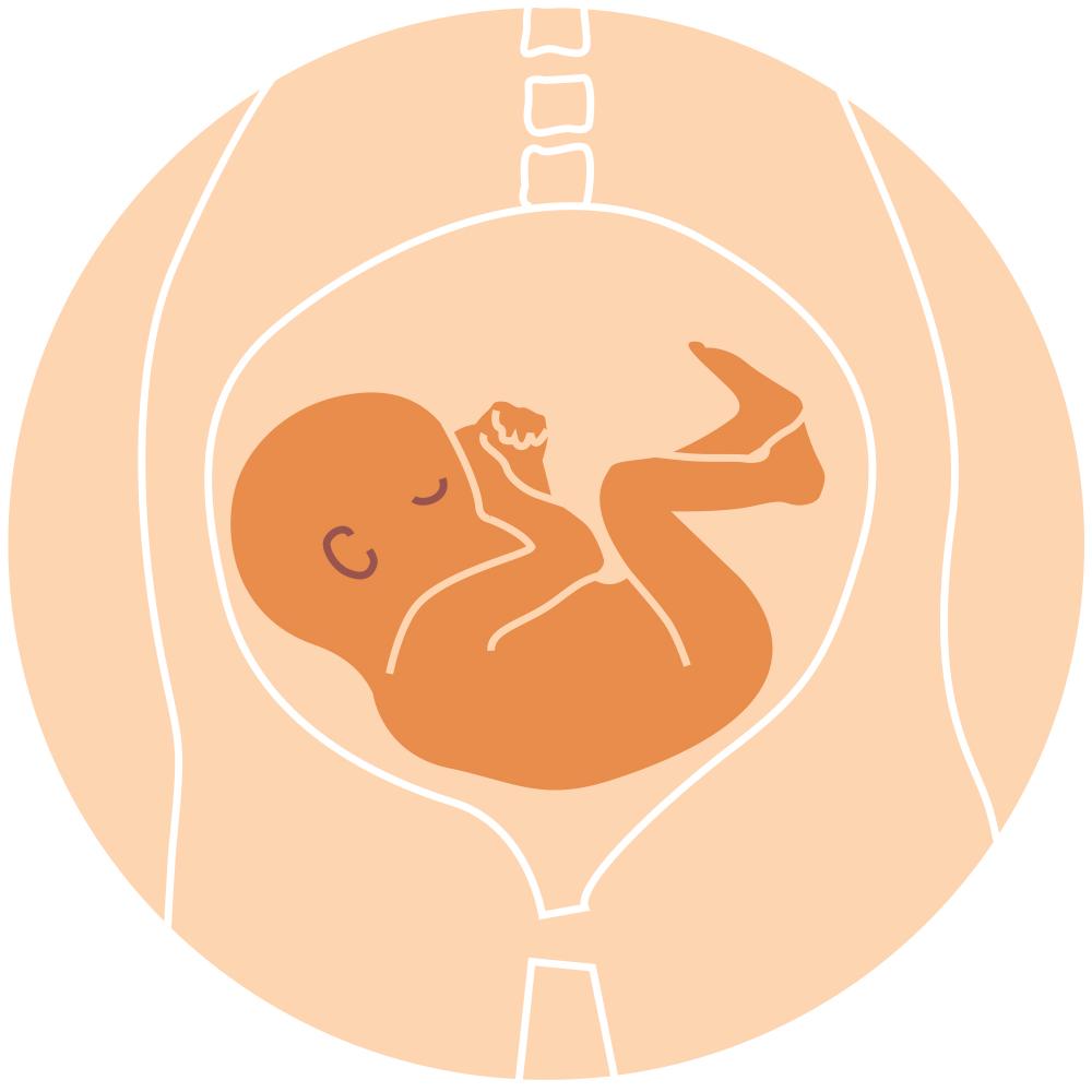 Things You Should Know About Baby’s Position in the Womb
